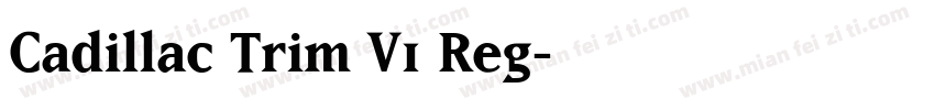 Cadillac Trim V1 Reg字体转换